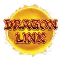 Dragon link logo
